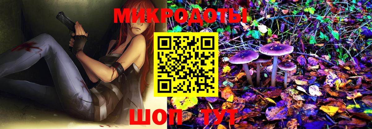 Псилоцибиновые грибы Cubensis Таганрог