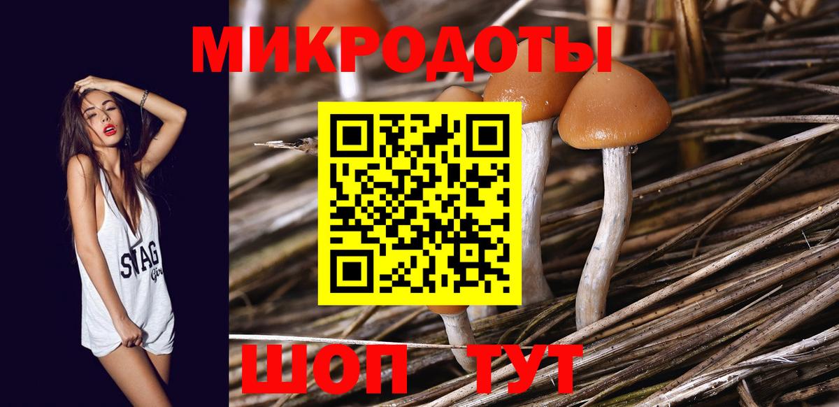 Псилоцибиновые грибы Magic Shrooms  Вход с VPN  Таганрог 